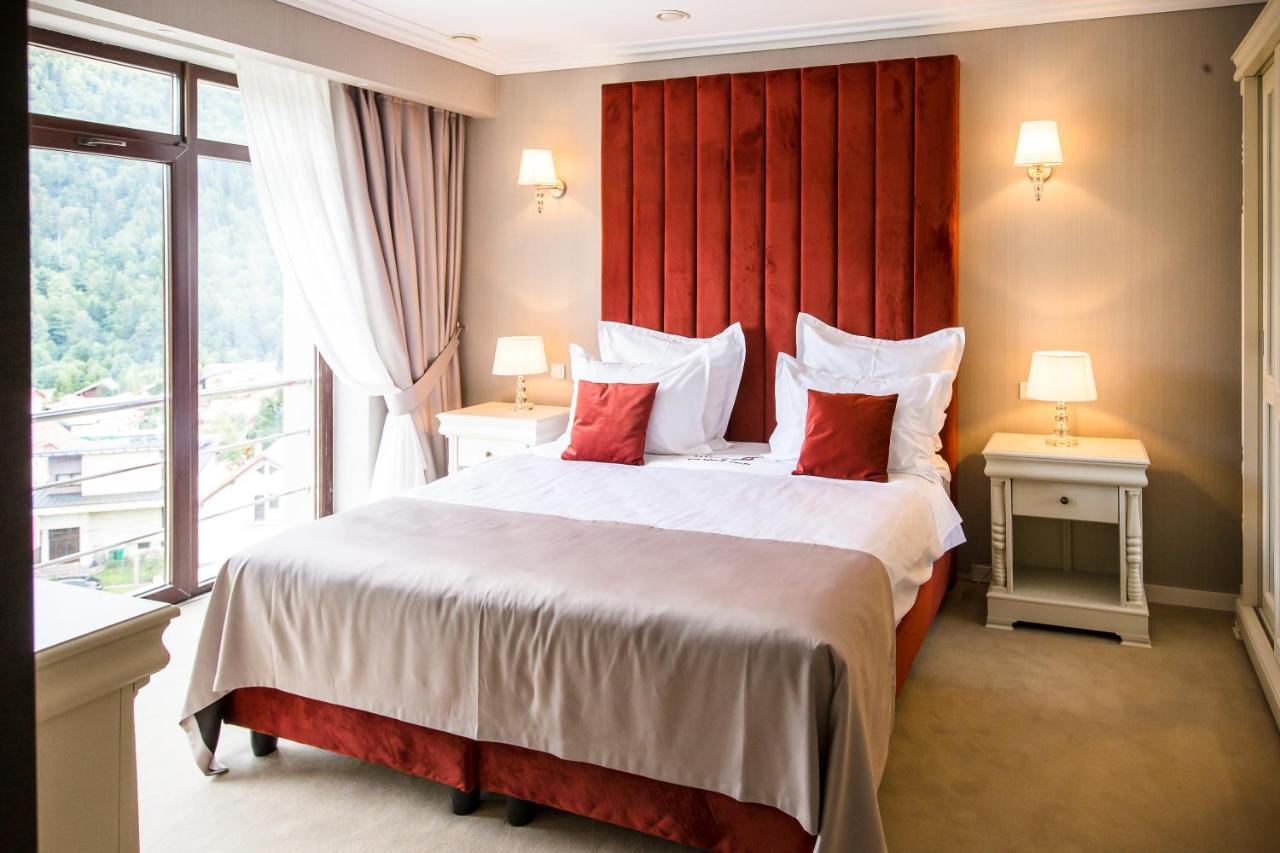 Hotel Carpat Inn 阿祖加 外观 照片
