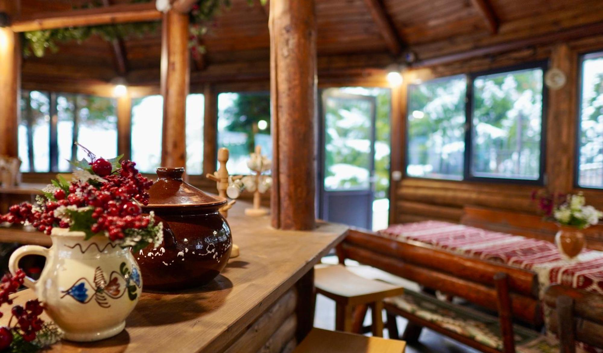 Hotel Carpat Inn 阿祖加 外观 照片